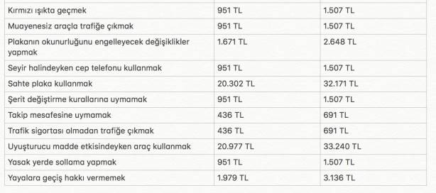 Yeni yılda ne kadar ceza geleceği belli oldu! Kurallara uymayanın ödeyecekleri para iki katına çıktı 8